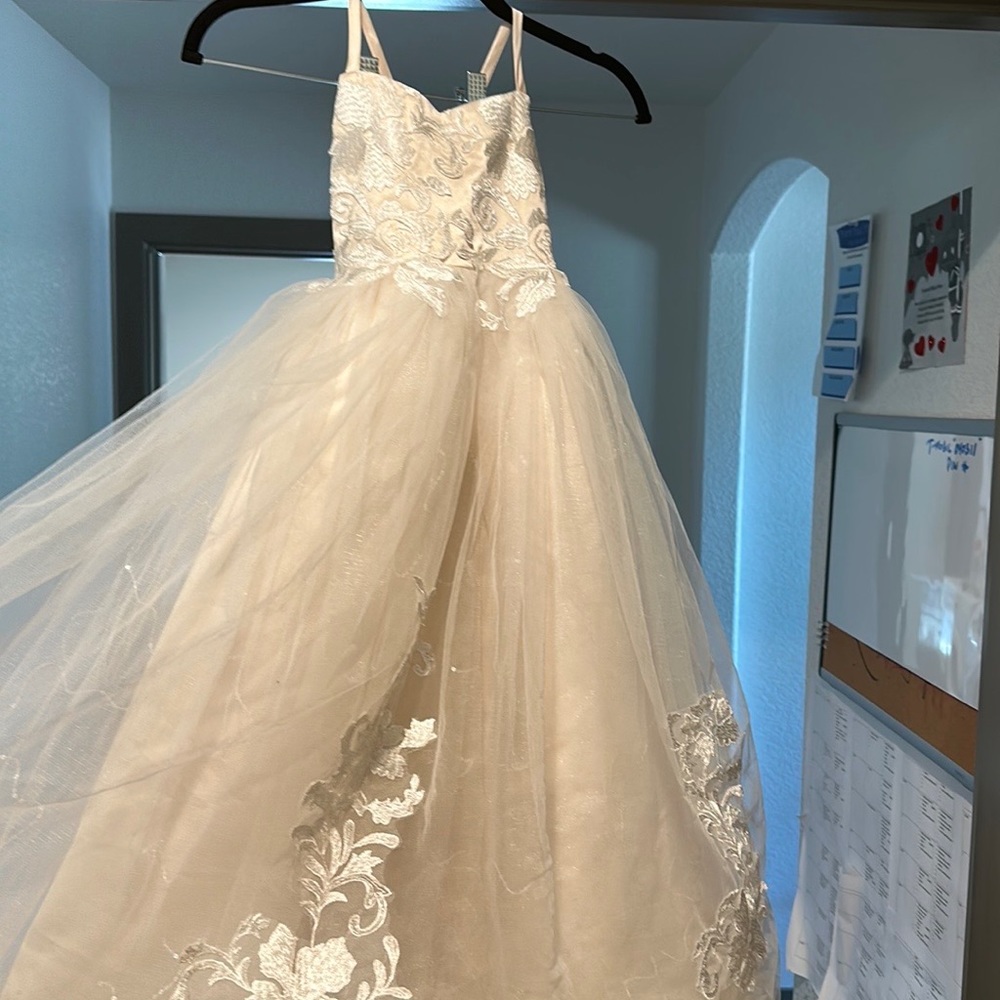 Flower girl/wedding dress.